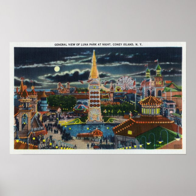 General View of Luna Park at Night Poster (Front)