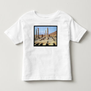 General view of the Apadana founded c.518 BC Toddler T-Shirt