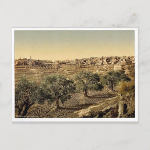 General view of the well of David, Bethlehem, Holy Postcard