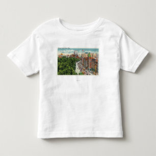 General View of Tremont Street Toddler T-Shirt