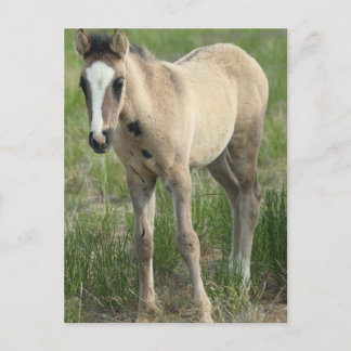 Generations Postcard