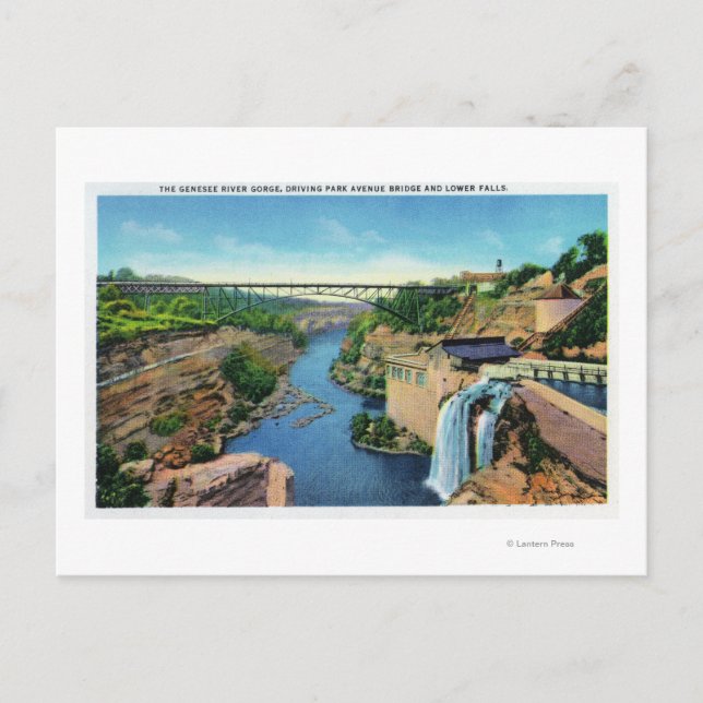 Genesee River Gorge, Park Avenue Bridge Postcard (Front)