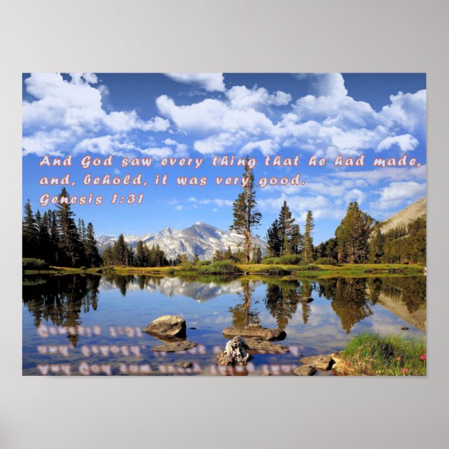 Genesis 1:31 poster (Front)