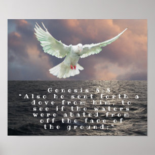 GENESIS 8:8 POSTER