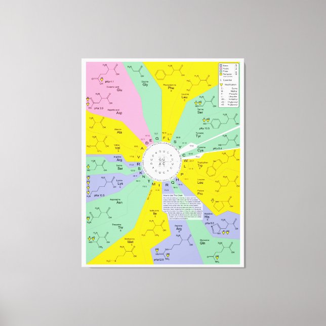 Genetic Code Diagram Showing Amino Acid Residues Canvas Print (Front)