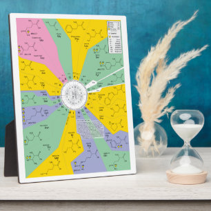Genetic Code Diagram Showing Amino Acid Residues Plaque