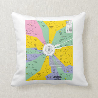 Genetic Code For Amino Acids (Chart Wheel) Cushion