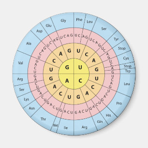 Genetic code magnet