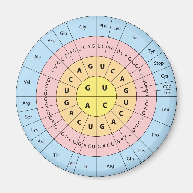 Genetic code magnet (Front)
