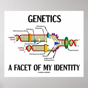 Genetics A Facet Of My Identity (DNA Replication) Poster
