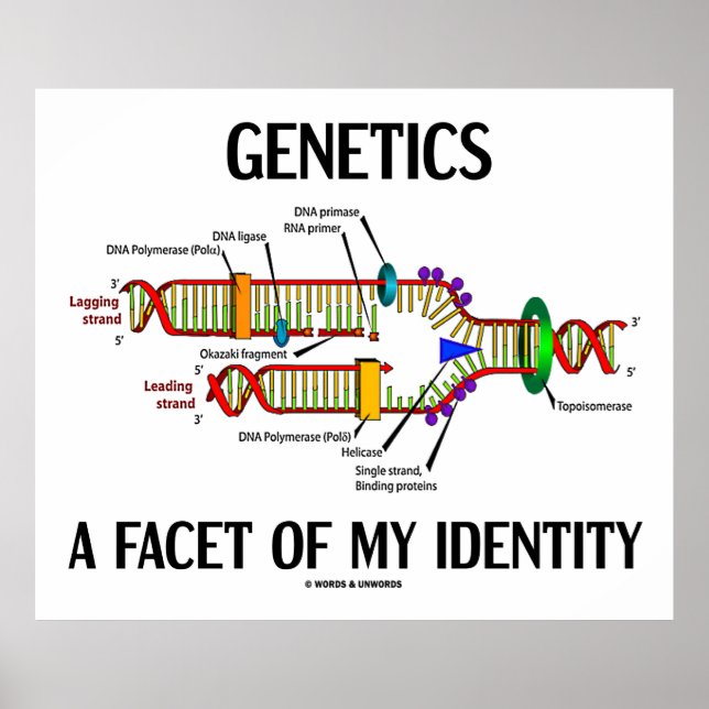 Genetics A Facet Of My Identity (DNA Replication) Poster (Front)