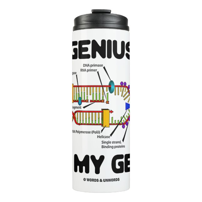 Genius Is In My Genes DNA Replication Humour Thermal Tumbler (Front)