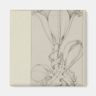 Genius of the Lily, 1809 Magnet