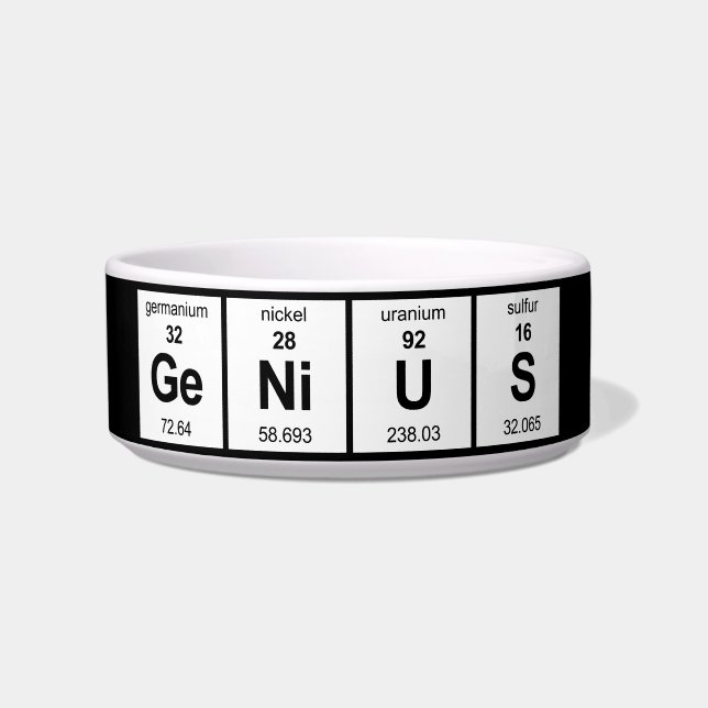 GeNiUS Periodic Table Bowl (Front)