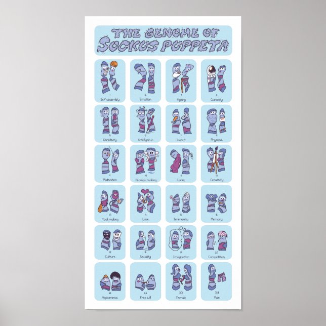 Genome of a Sock Puppet Poster (Front)