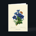 Gentiana aucalis card<br><div class="desc">Gentiana aucalis by Pierre Joseph Redouté .This image (or other media file) is in the public domain because its copyright has expired. has expired.</div>