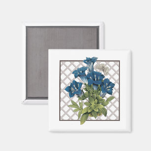GENTIANS MAGNET