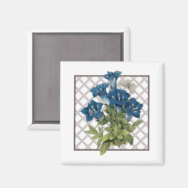 GENTIANS MAGNET (Front/Back)