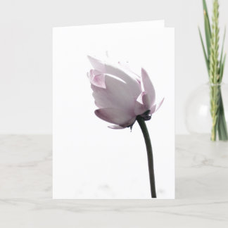 Gentle Card