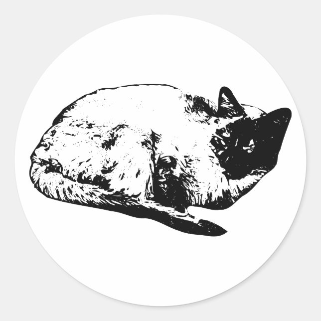 Gentle catnap, winter edition classic round sticker (Front)