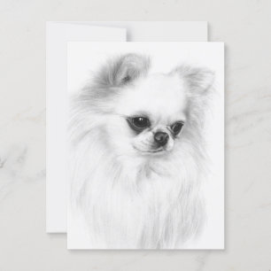Gentle Chihuahua Hand Painted Artwork Postcard
