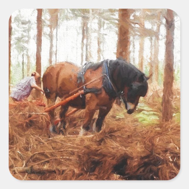 Gentle Giant - Draught Horse Hauling Logs in Fores Square Sticker (Front)
