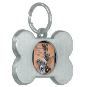 Gentle Giants Rescue Pet ID Tag