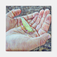 Gentle Hands