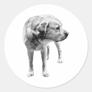Gentle Lab – Devoted Heart Classic Round Sticker