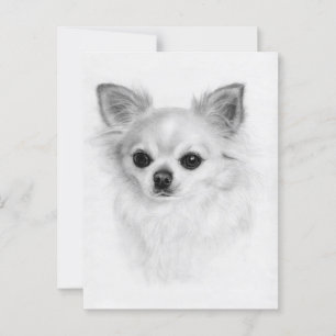 Gentle Look - Hand Painted Chihuahua Art Postcard