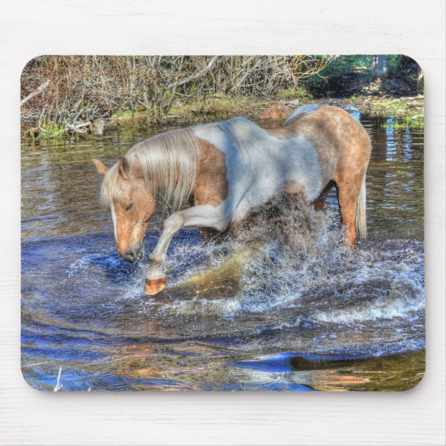 Gentle Palomino Pinto Stallion Playing in Pond Mouse Mat (Front)