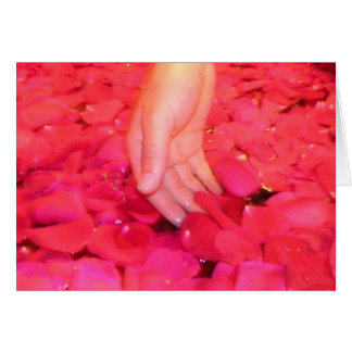 Gentle petals cards