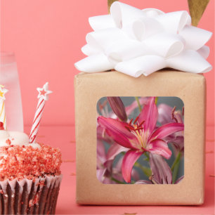 Gentle Pink Lily Square Sticker