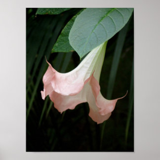 Gentle Poster
