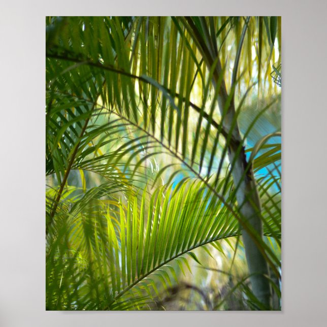 Gentle Reach Poster (Front)