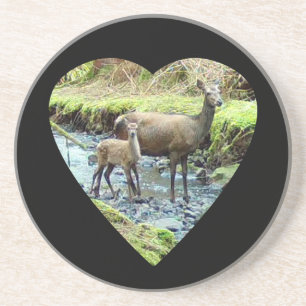 Gentle Red Deer Doe With Fawn Tender Woodland Bond Coaster