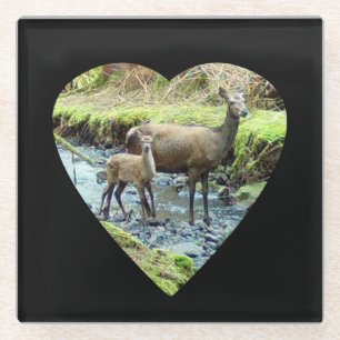 Gentle Red Deer Doe With Fawn Woodland Bond Nature Glass Coaster