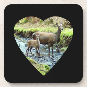 Gentle Red Deer Doe With Fawn Woodland Nature 6x Coaster