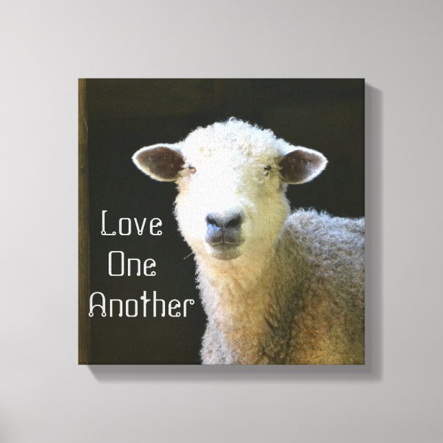 Gentle Sheep Canvas Print (Front)