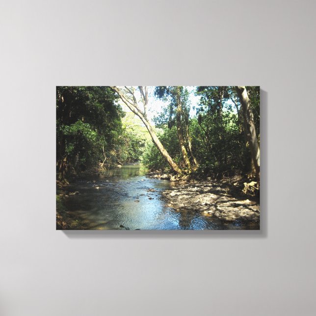Gentle Stream Canvas Print (Front)