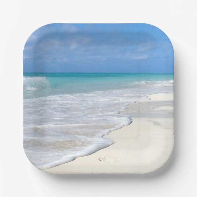 Gentle Surf White Sand Beach Paper Plate (Front)