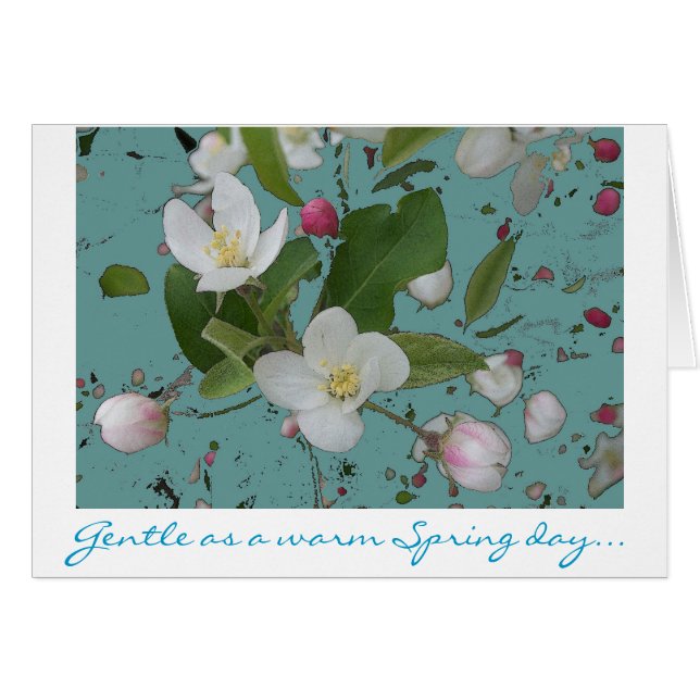 Gentle Thoughts (Front Horizontal)