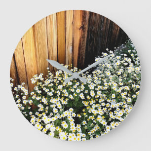 Gentle white flowers against weathered fence large clock
