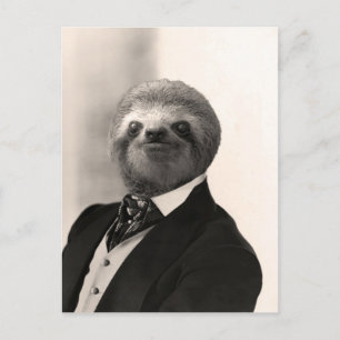Gentleman Sloth #4 Postcard