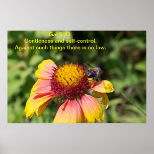 Gentleness and self-control poster