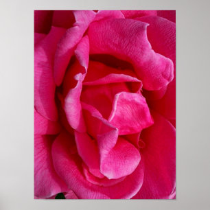 GENTLENESS POSTER