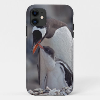 Gentoo and Chick iPhone 5 Case