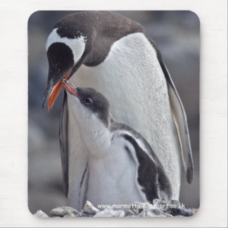 Gentoo and Chick Mousemat
