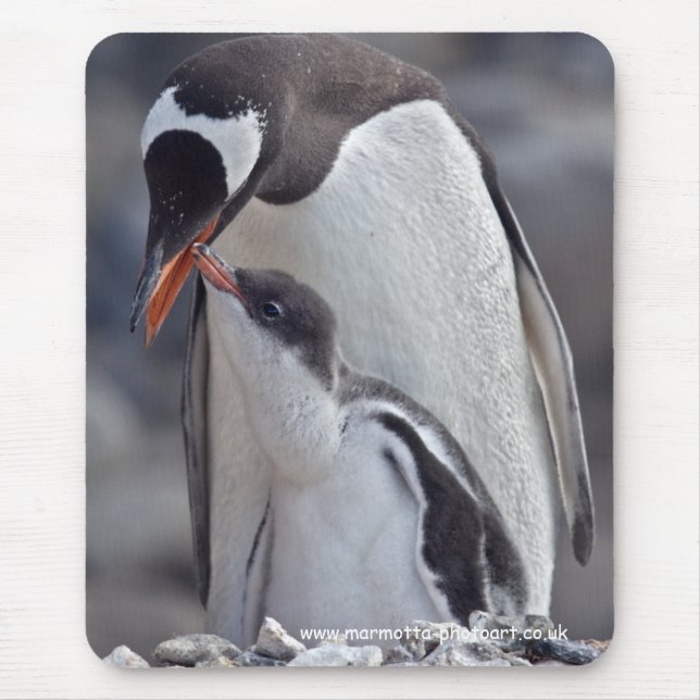 Gentoo and Chick Mousemat (Front)