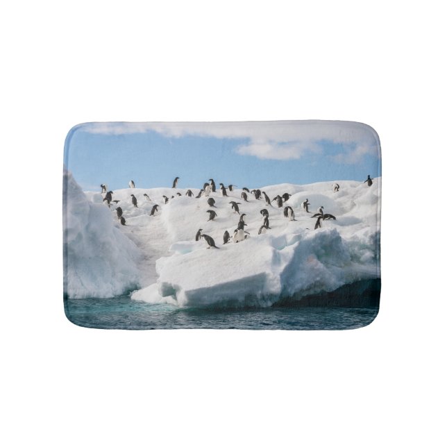 Gentoo Penguin Antarctica Iceberg Playtime Bath Mat (Front)